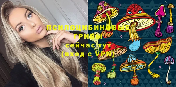 дурь Арсеньев