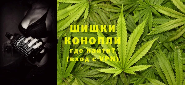 дурь Арсеньев