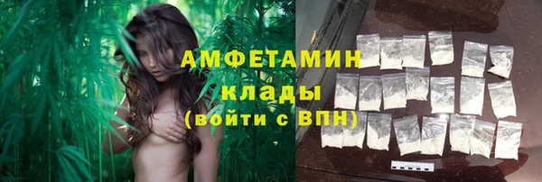 ПСИЛОЦИБИНОВЫЕ ГРИБЫ Алексеевка
