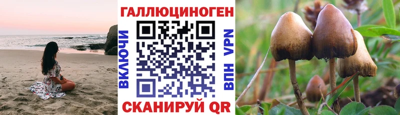где продают наркотики  Кологрив  kraken зеркало  Галлюциногенные грибы Magic Shrooms 