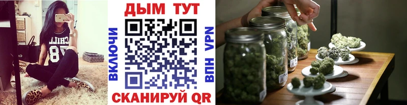 Канабис план где купить наркоту Кологрив